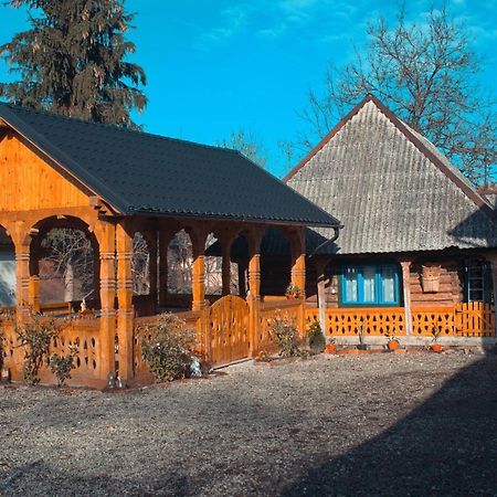 Hostal La Rodica In Vale Ocna Şugatag Exterior foto