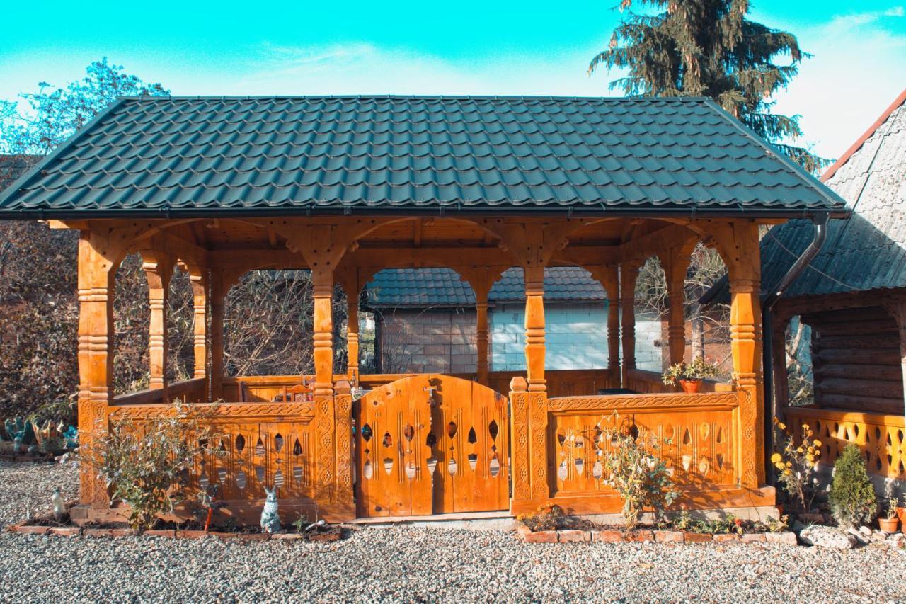 Hostal La Rodica In Vale Ocna Şugatag Exterior foto