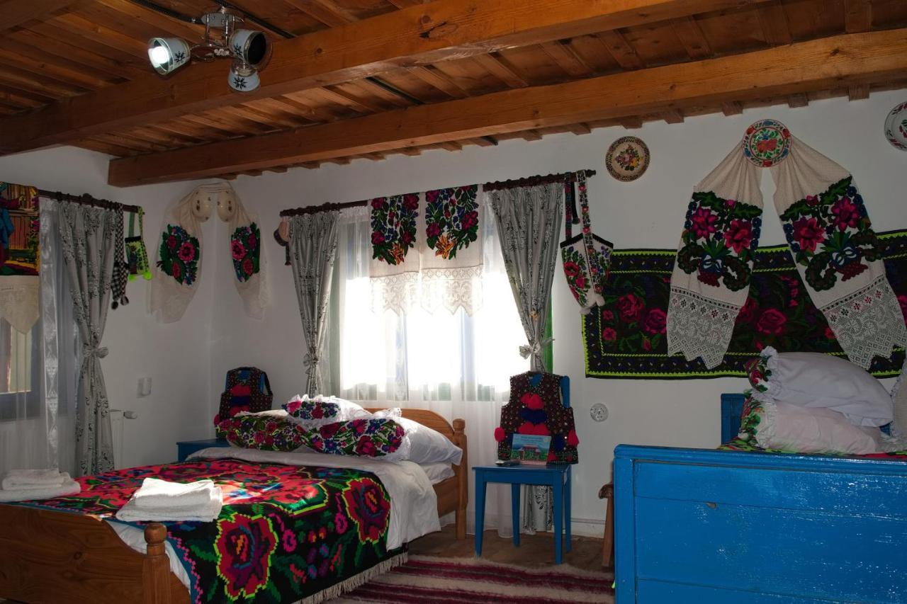 Hostal La Rodica In Vale Ocna Şugatag Exterior foto