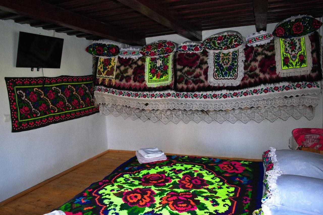 Hostal La Rodica In Vale Ocna Şugatag Exterior foto