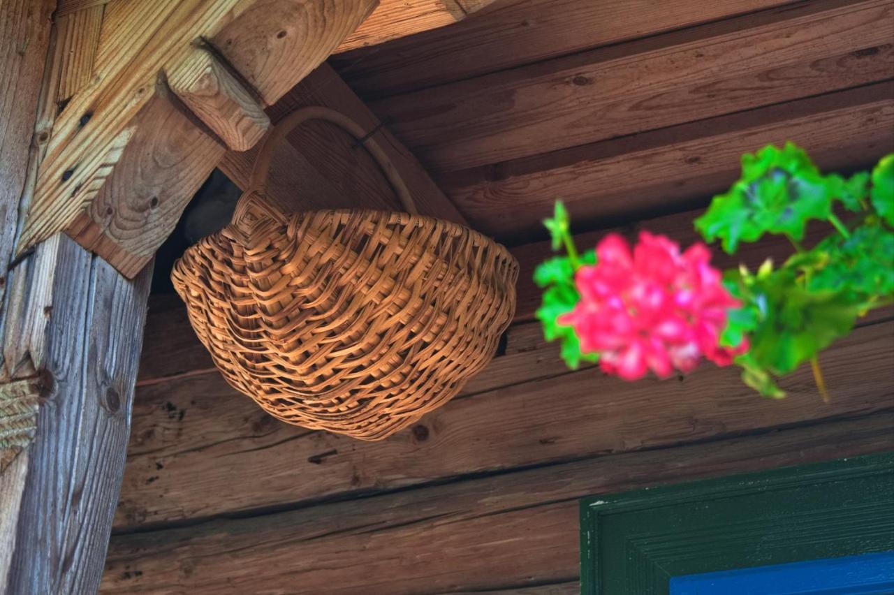 Hostal La Rodica In Vale Ocna Şugatag Exterior foto