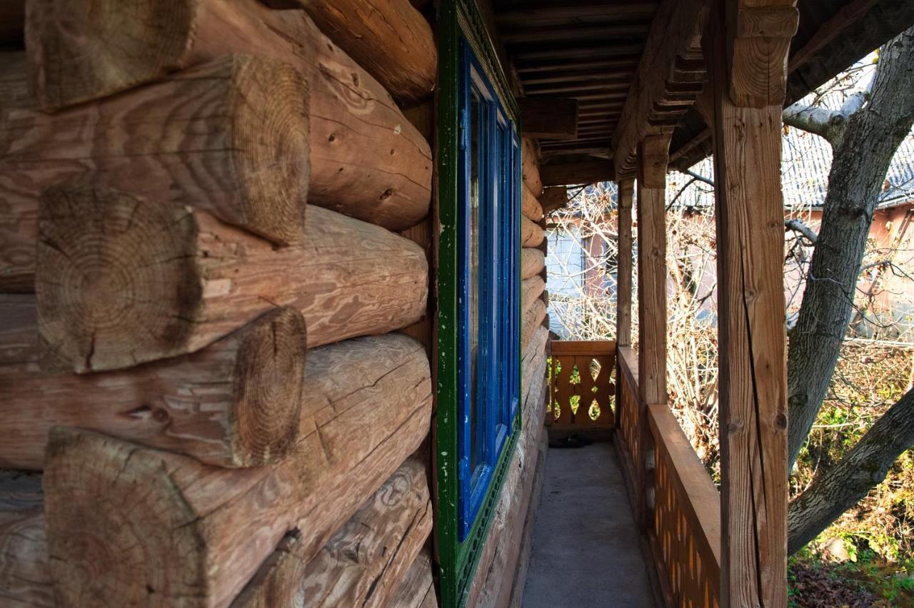 Hostal La Rodica In Vale Ocna Şugatag Exterior foto