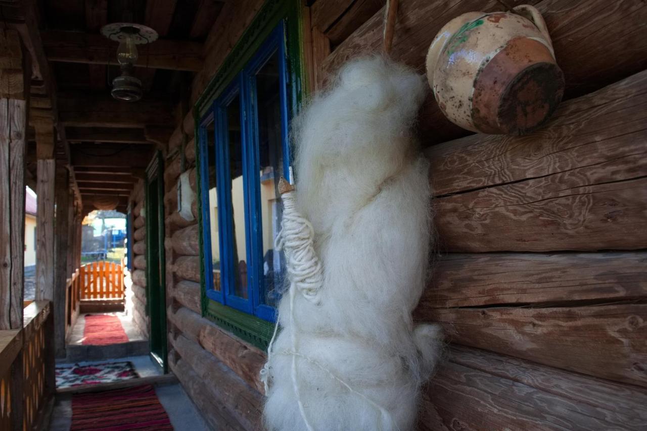 Hostal La Rodica In Vale Ocna Şugatag Exterior foto