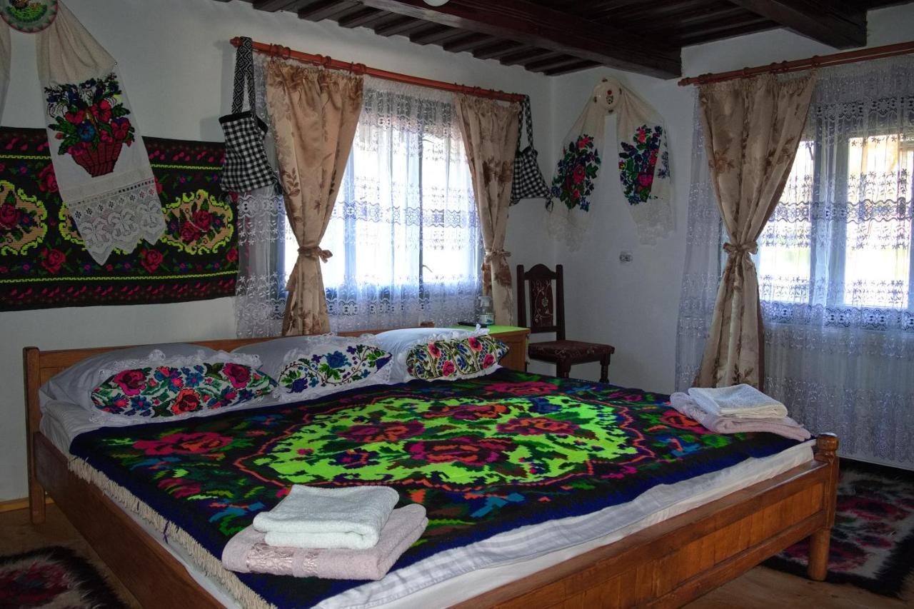 Hostal La Rodica In Vale Ocna Şugatag Exterior foto