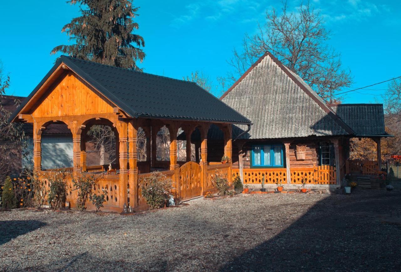 Hostal La Rodica In Vale Ocna Şugatag Exterior foto
