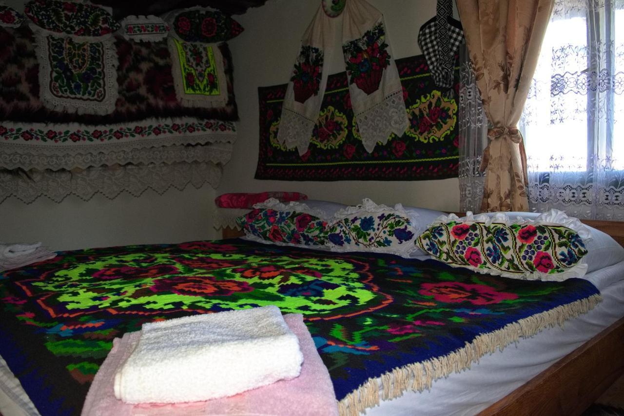 Hostal La Rodica In Vale Ocna Şugatag Exterior foto