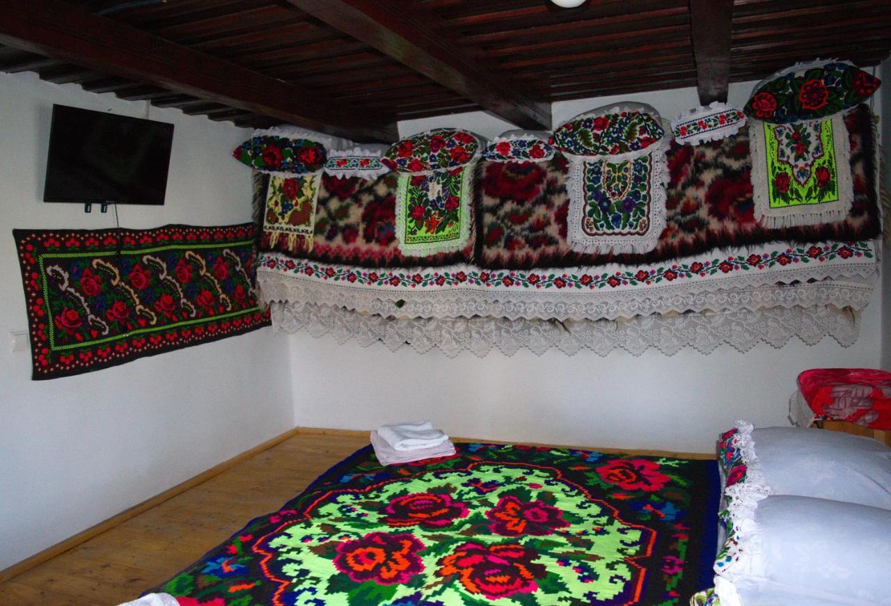 Hostal La Rodica In Vale Ocna Şugatag Exterior foto