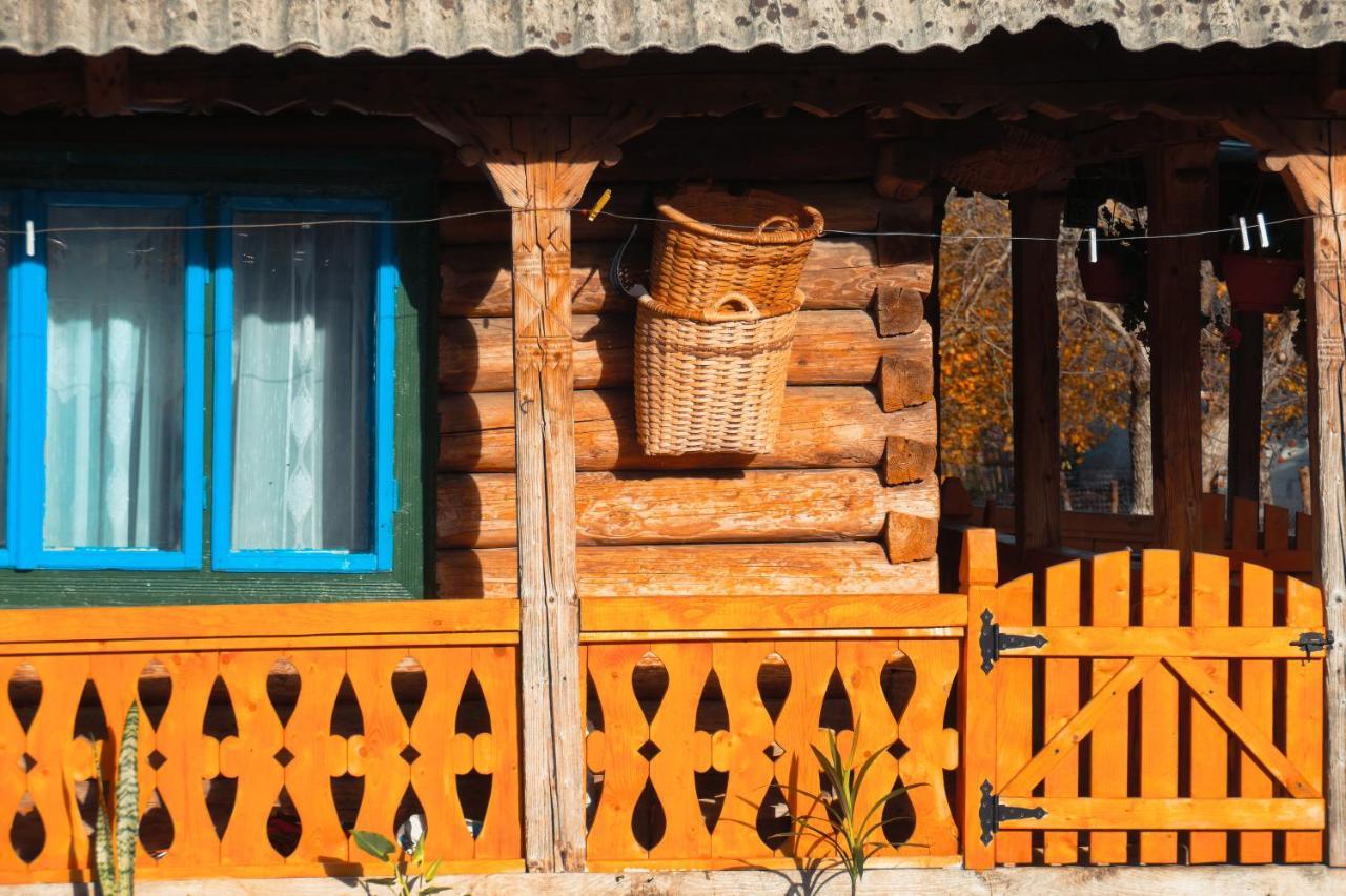 Hostal La Rodica In Vale Ocna Şugatag Exterior foto
