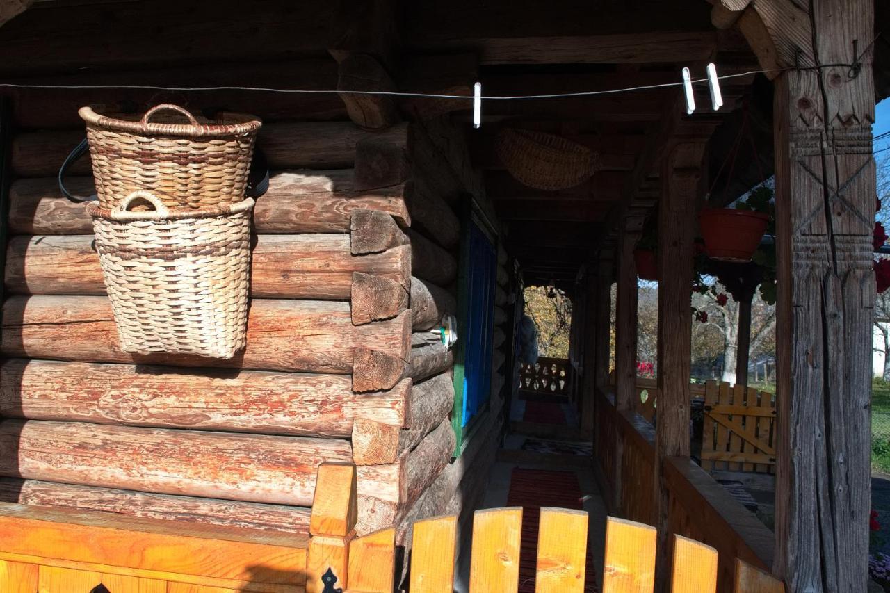 Hostal La Rodica In Vale Ocna Şugatag Exterior foto