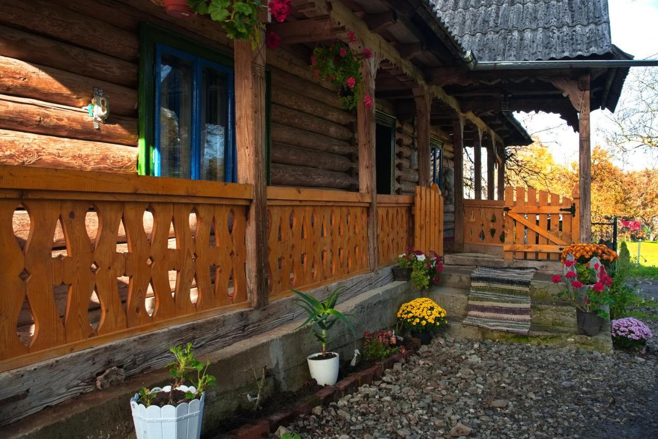 Hostal La Rodica In Vale Ocna Şugatag Exterior foto